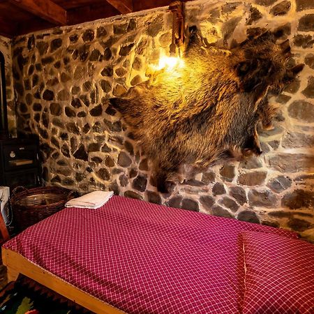 Catunu' Lui Emil Villa Carbunesti Bagian luar foto