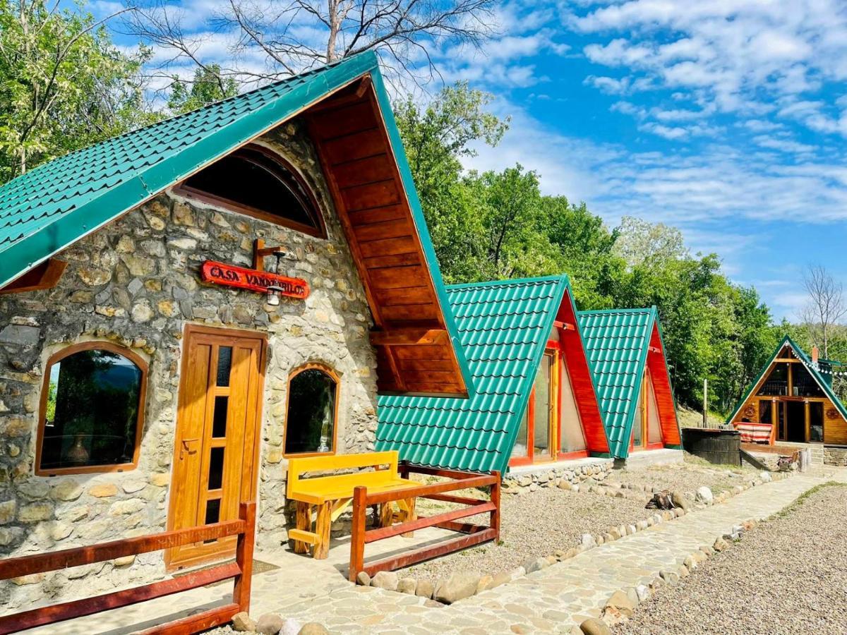 Catunu' Lui Emil Villa Carbunesti Bagian luar foto